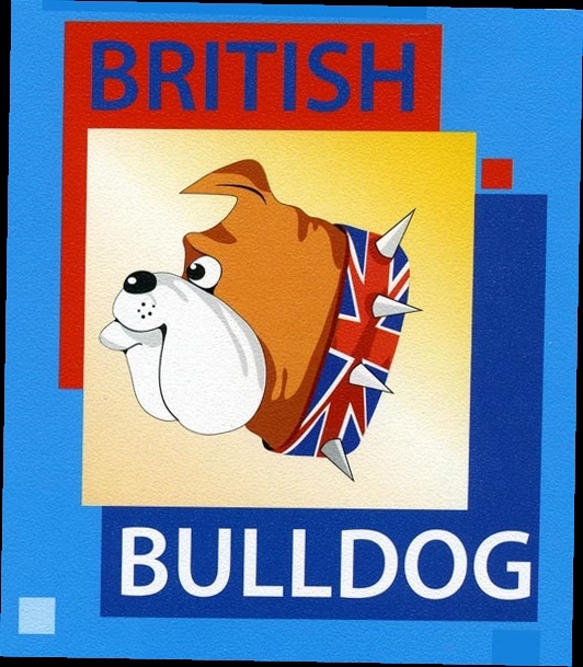 Международный игровой конкурс по английскому языку &amp;quot;BRITISH BULLDOG&amp;quot;.